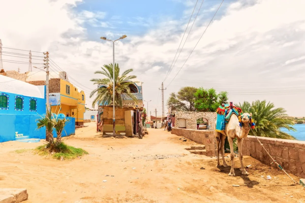 Nubian Village Tour From Aswan